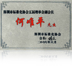 标准化协会理事会副会长