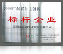 2008 Leading enterprise for innovation of Guangdong Province