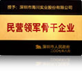 Leading backbone private enterprise